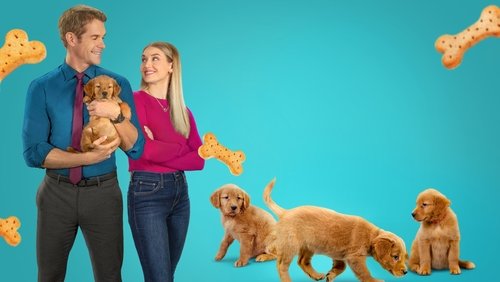 Everything Puppies