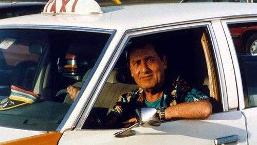 A Taxi Driver in New York