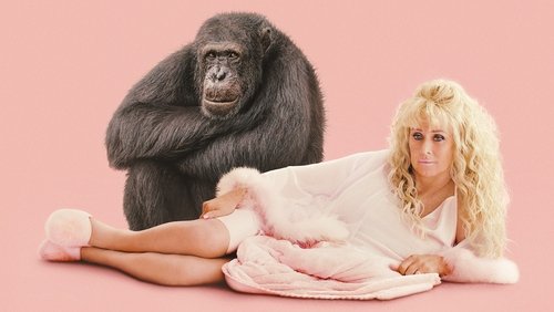Chimp Crazy
