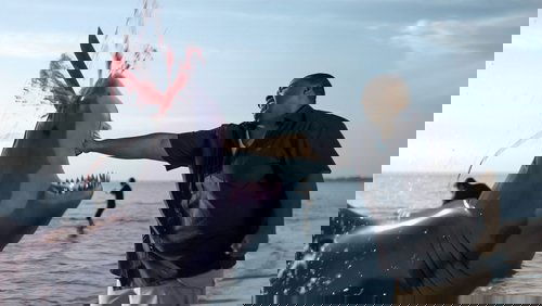Zombie Shark
