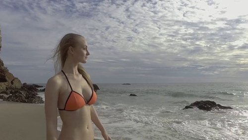 Shark Encounters of the Third Kind