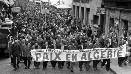 They Chose Algeria