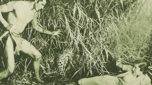 The New Adventures of Tarzan