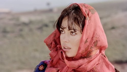 The Girl with the Red Scarf