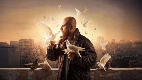 Al Ghawy