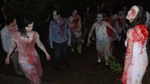 Island: Wedding of the Zombies