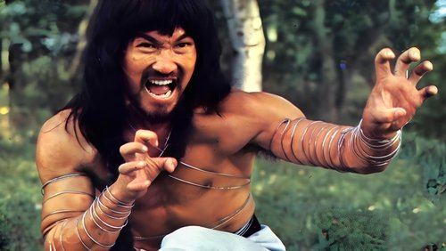 Cantonen Iron Kung Fu
