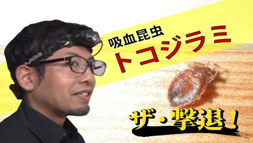 ザ・撃退!