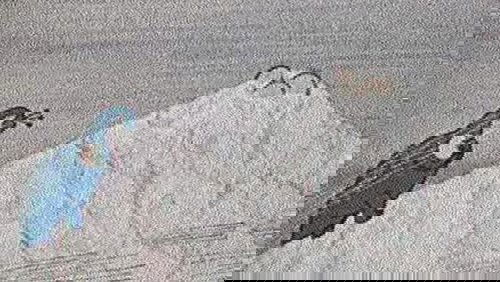 Dinosaur's Hill