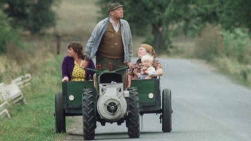 The Snowdrop Festival