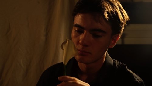 Narciso