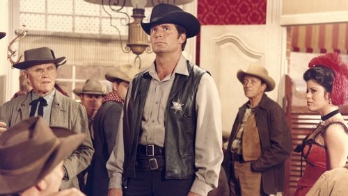 Support Your Local Sheriff!