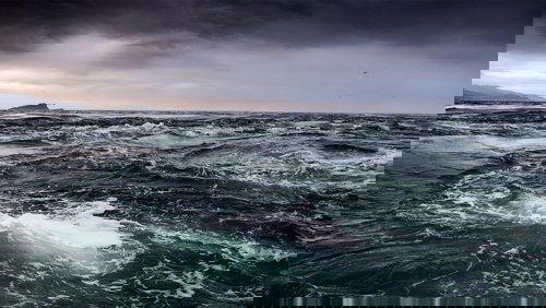 Tide