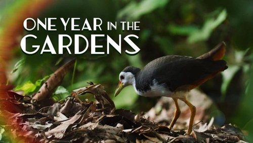 One Year in the Gardens