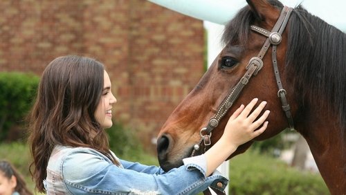 A Cowgirl's Story