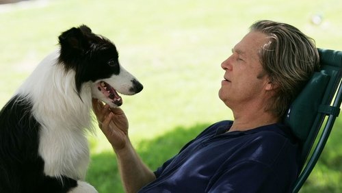 A Dog Year