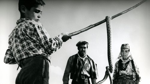 Revenge of the Snakes