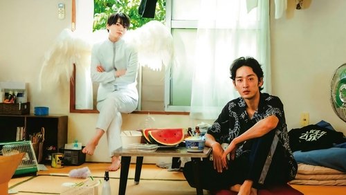 One Room Angel