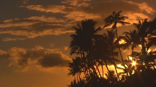 Living Landscapes: World's Most Beautiful Sunrises and Sunsets