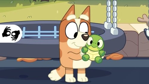 Bluey: Turtleboy (Auslan)
