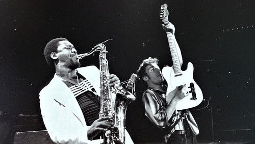 Bruce Springsteen & the E Street Band Houston '78 Bootleg: House Cut