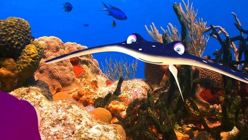 Fishtales
