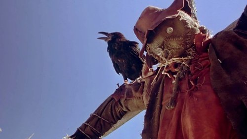 Night of the Scarecrow