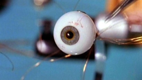 Spy in Your Eye