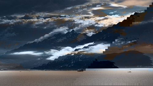 The Wild Andes