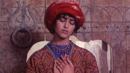 Wanderers of the Desert