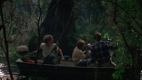Wild America