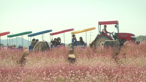 Sehabyeol