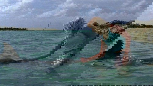 Eye of the Dolphin