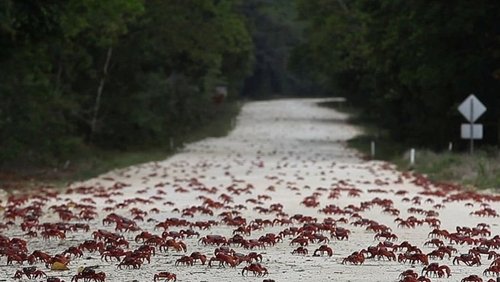 Island of the Hungry Ghosts