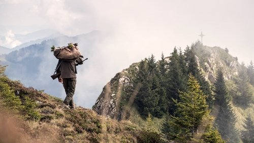 Wild - Jäger und Sammler