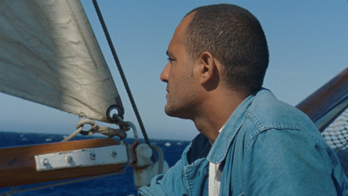 Human Flowers of Flesh