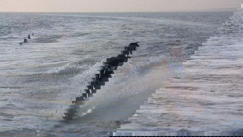 Jaws 2