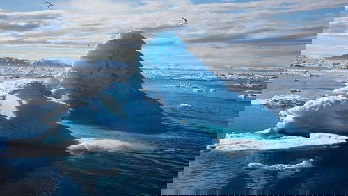 To the Arctic 3D