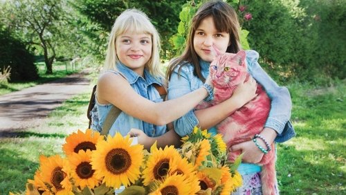 Jill, Joy and the Mysterious Stranger