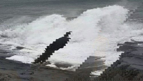 A Wind from the South