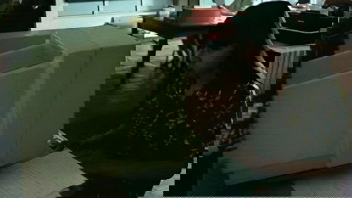 Naked Under The Moon