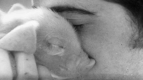 The Pig & I: A Love Story