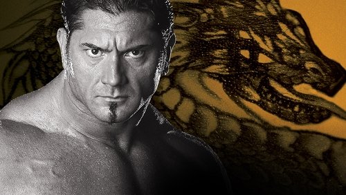 WWE New Year's Revolution 2005