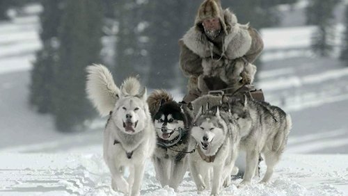 The Great Alaskan Race