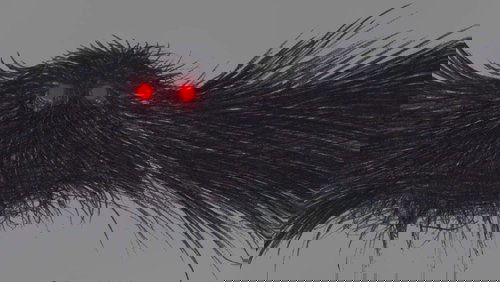 The Mothman of Point Pleasant