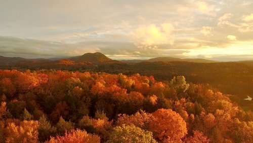 America's Wild Seasons