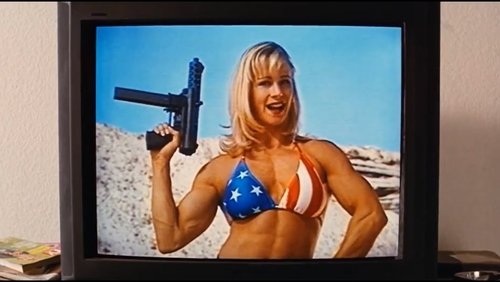 Chicks Who Love Guns