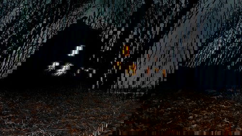 Paranormal State