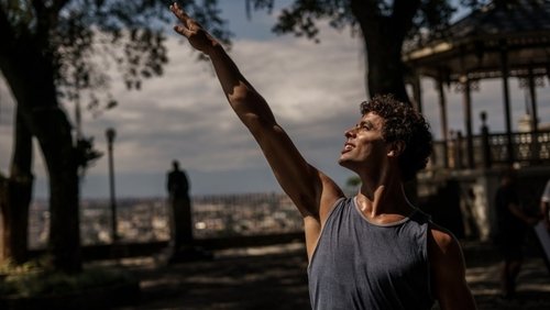 A Wolf Among the Swans