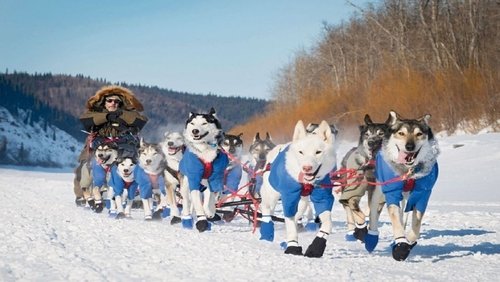 Siberian Odyssey